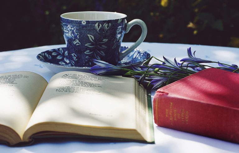 Poetry & Short Story Reference Center
