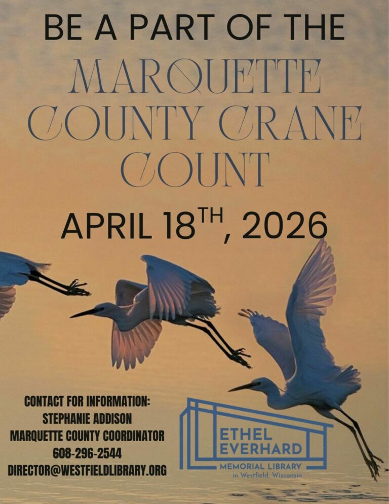 Crane Count